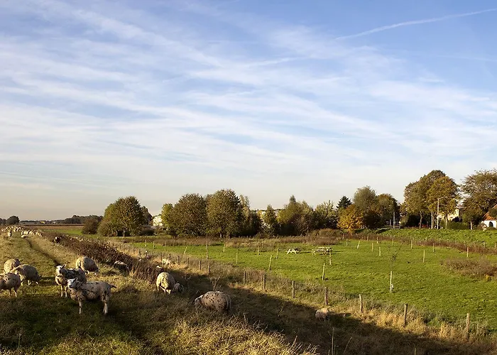 Valuas Отель 5*